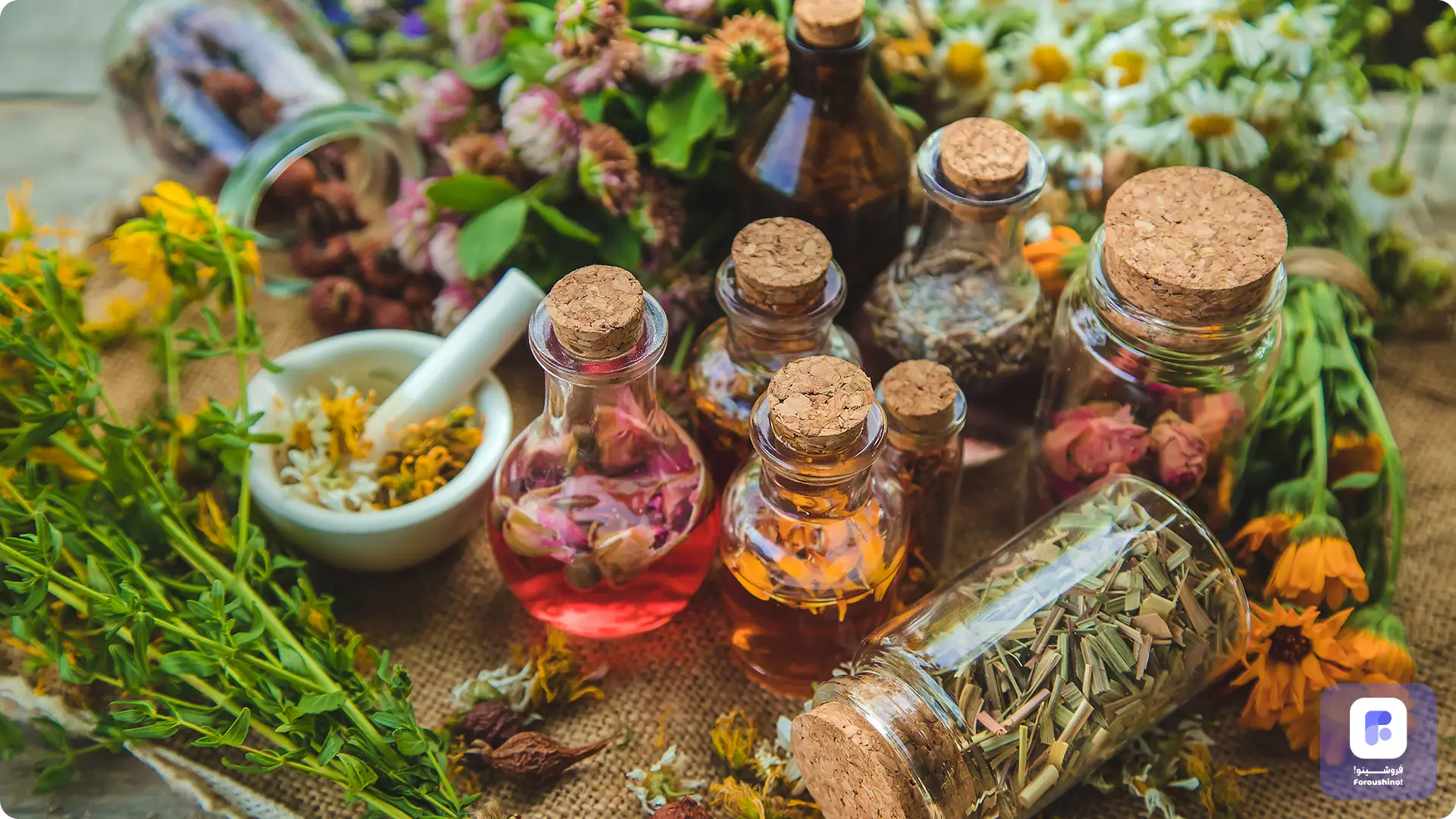 تبلیغات محصولات گیاهی