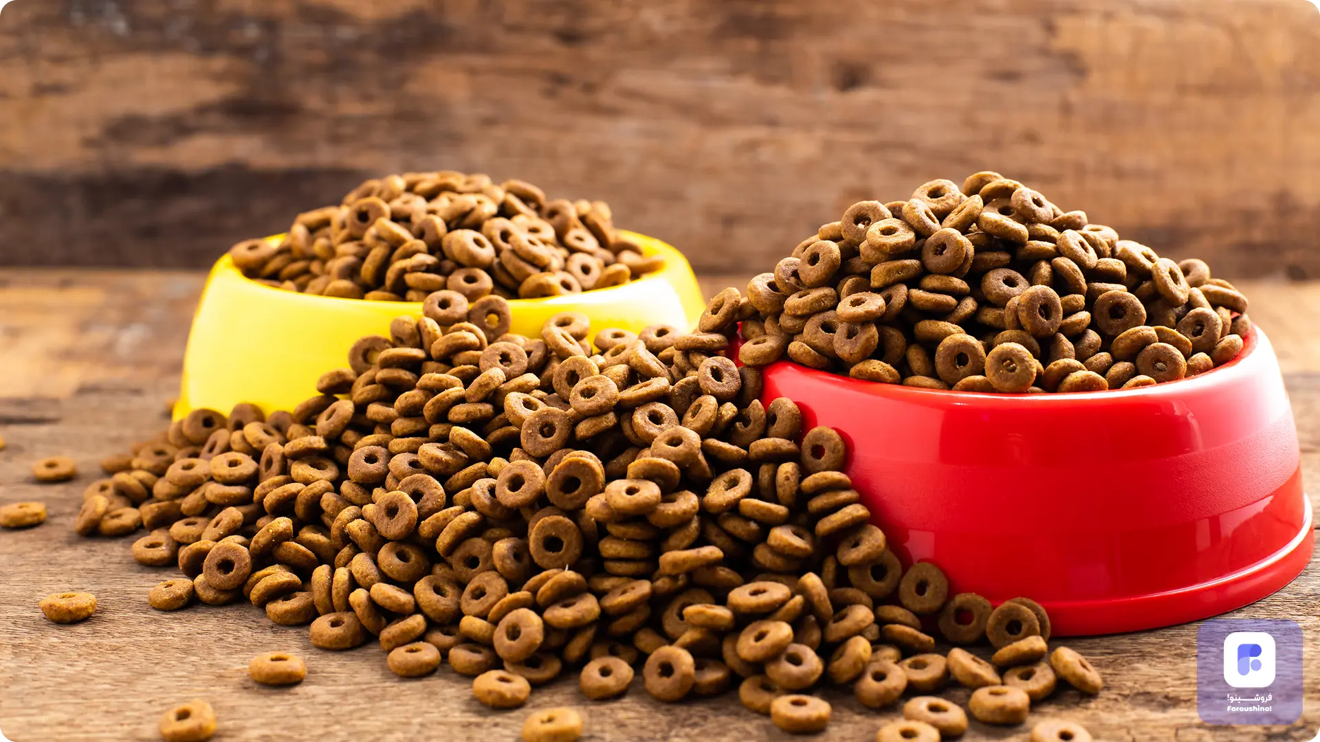 غذای حیوانات