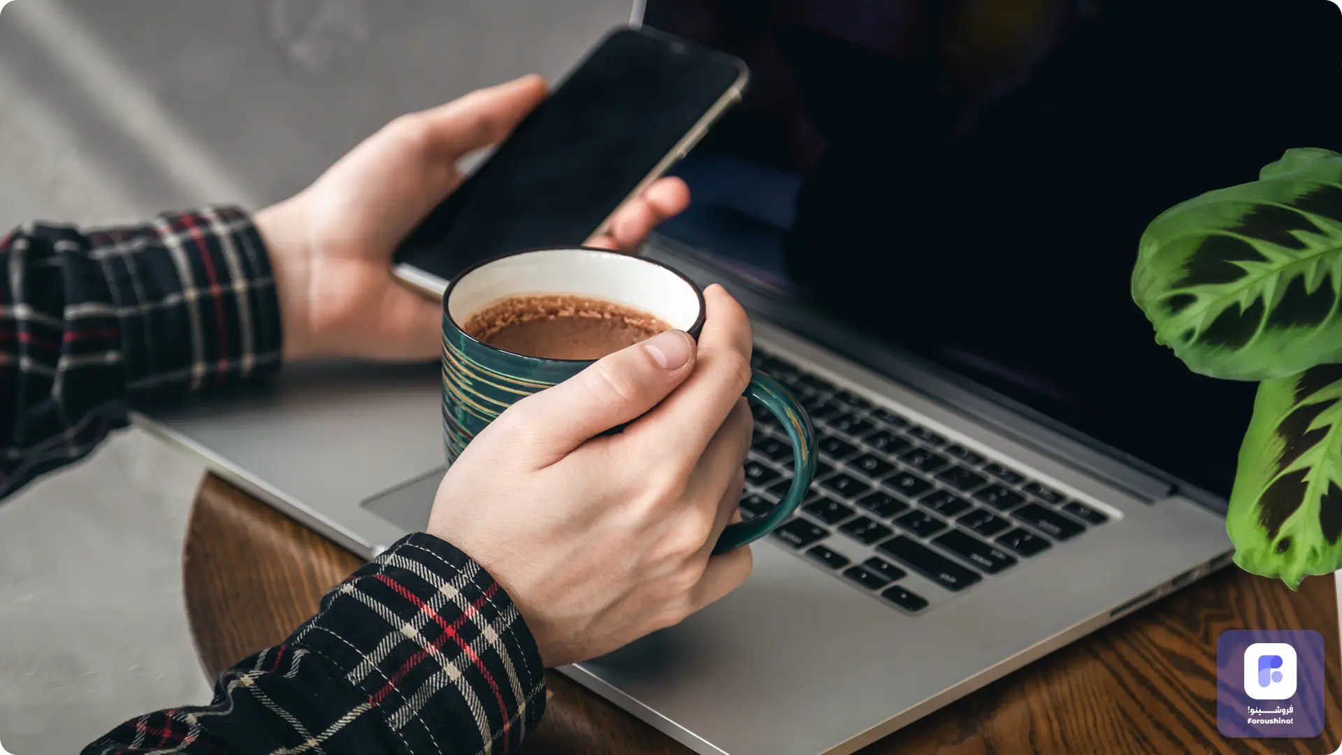 فروش آنلاین قهوه