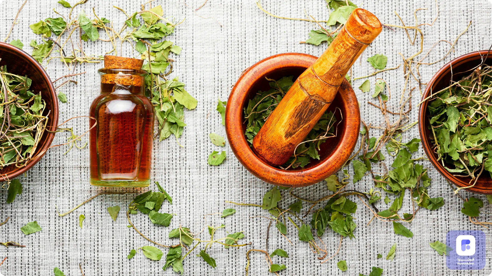 بسته بندی محصولات گیاهی